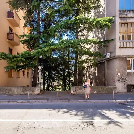 Rina Rijeka